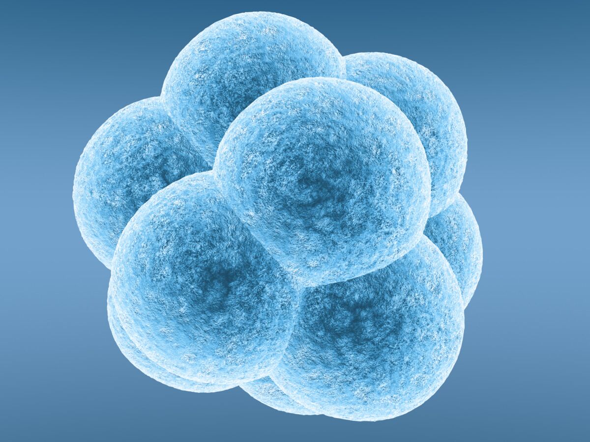 INTRAUTERINE INSEMINATION