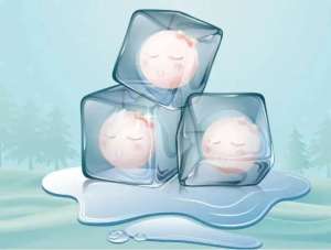Egg Preservation
